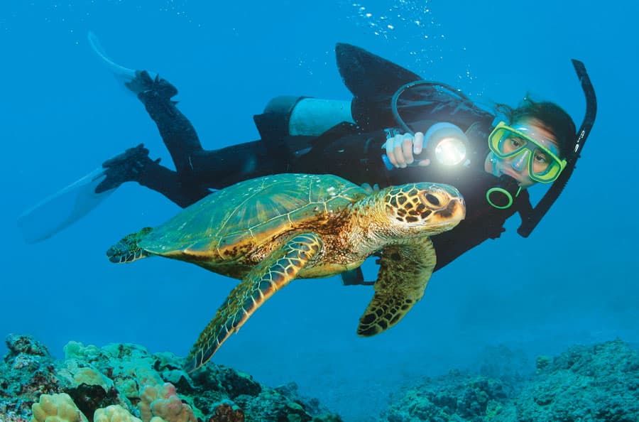 ФОНАРИ ДЛЯ ДАЙВИНГА PELICAN