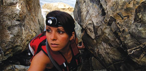 Иллюстрация 1